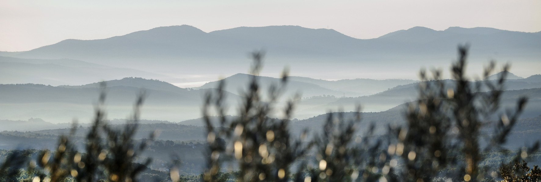 Vue du matin