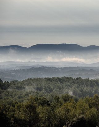 Les maures © Dominique Laugé