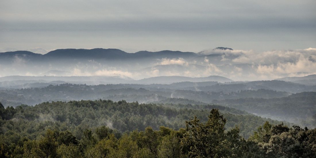 Les maures © Dominique Laugé