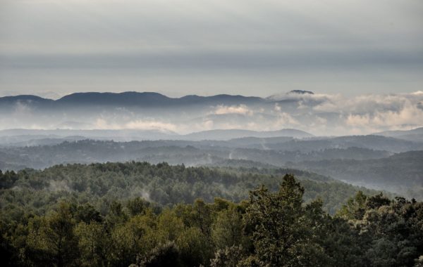 Les maures © Dominique Laugé